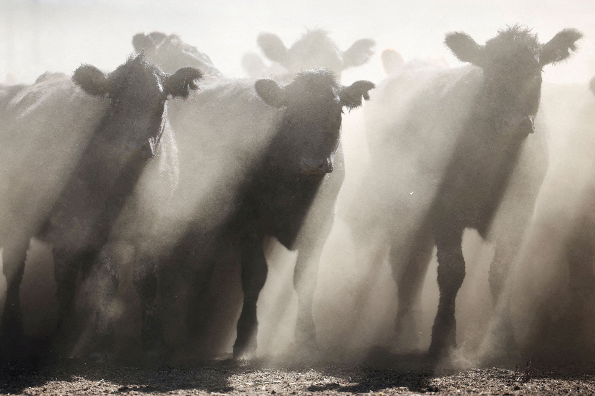 2025-11-28T101214Z_506466086_RC2OZDAIOKE0_RTRMADP_3_YEAR-END-2025-PHOTOS-BEST