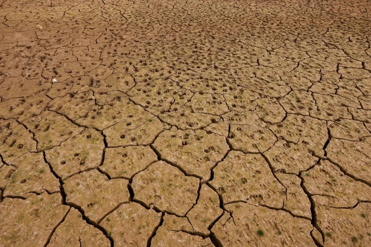 reuters-global-news-agency-content-europe-weather-spain-drought-1240px