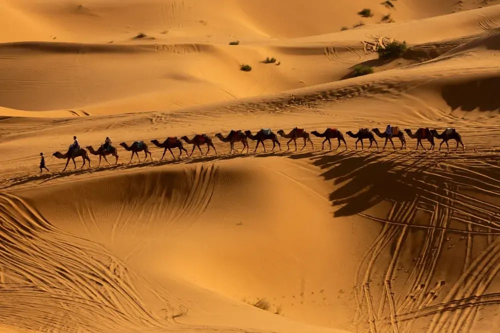 reuters-global-news-agency-content-morocco-sahara-1000px
