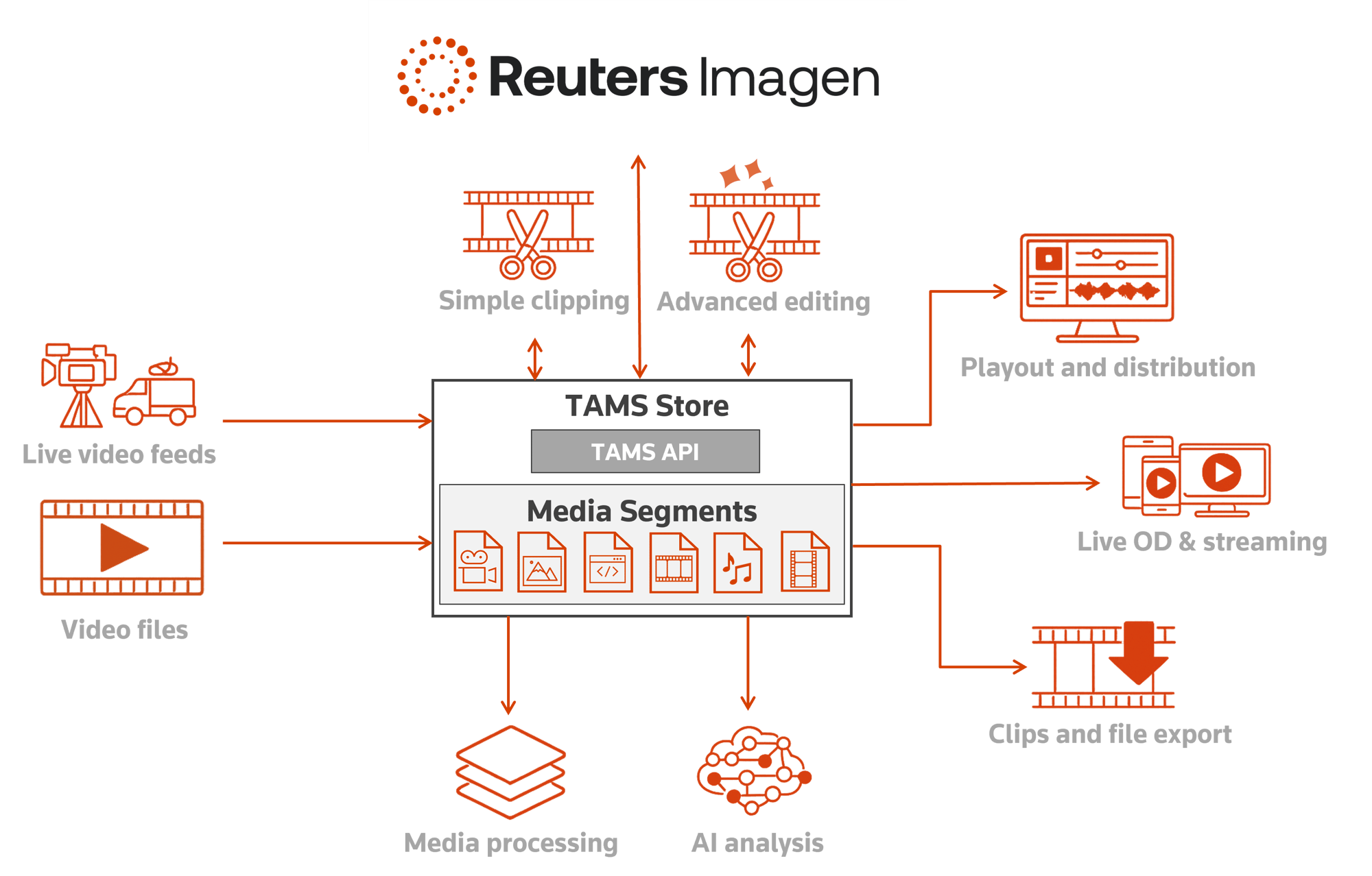 TAMS Explainer