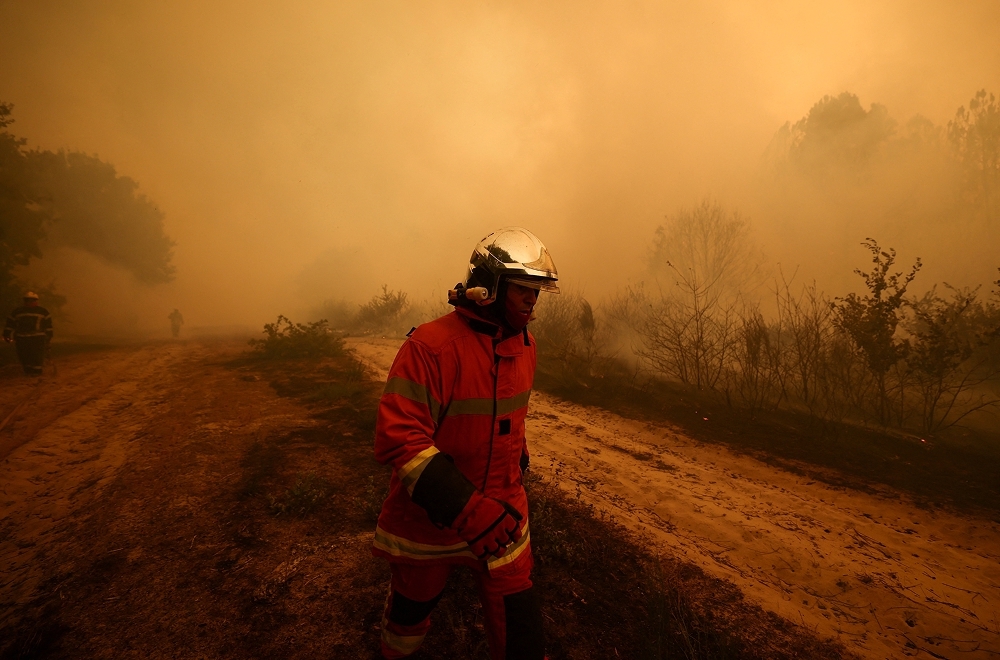 Wildfires