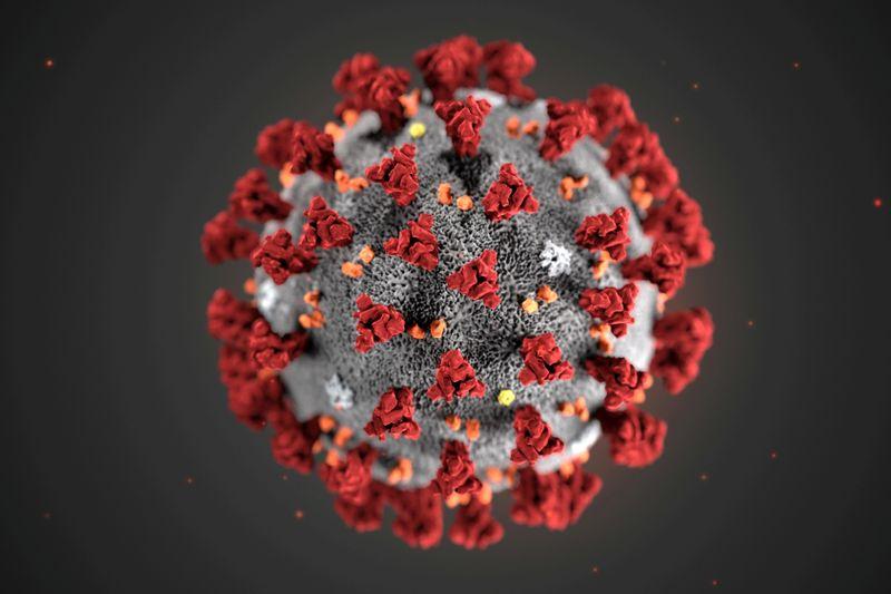 The ultrastructural morphology exhibited by the 2019 Novel Coronavirus (2019-nCoV), which was identified as the cause of an outbreak of respiratory illness first detected in Wuhan, China, is seen in an illustration released by the Centers for Disease Control and Prevention (CDC) in Atlanta, Georgia, U.S. January 29, 2020. Alissa Eckert, MS; Dan Higgins, MAM/CDC/Handout via REUTERS.
