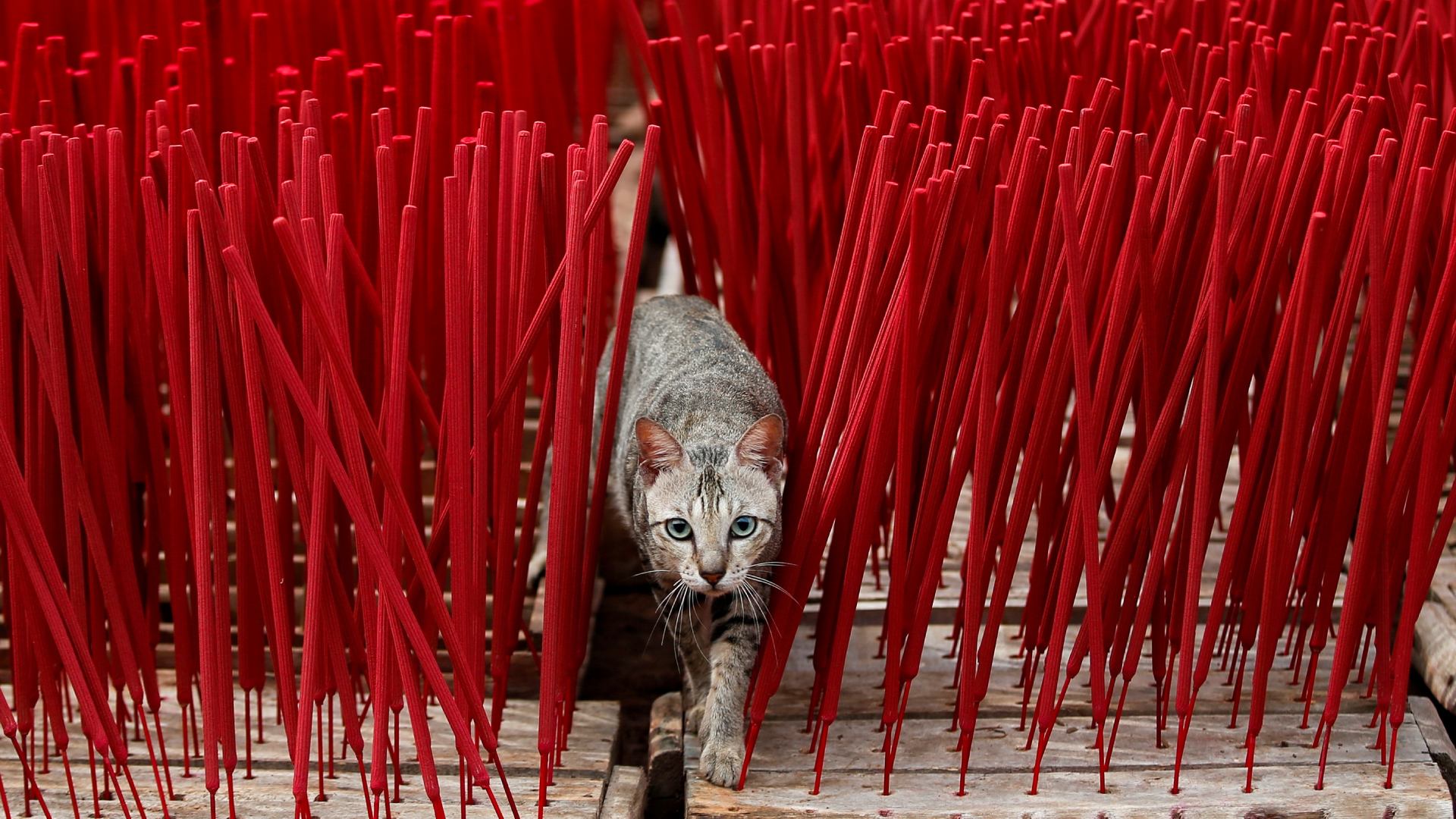 Incense factory ahead of the Chinese Lunar New Year celebrations in Tangerang