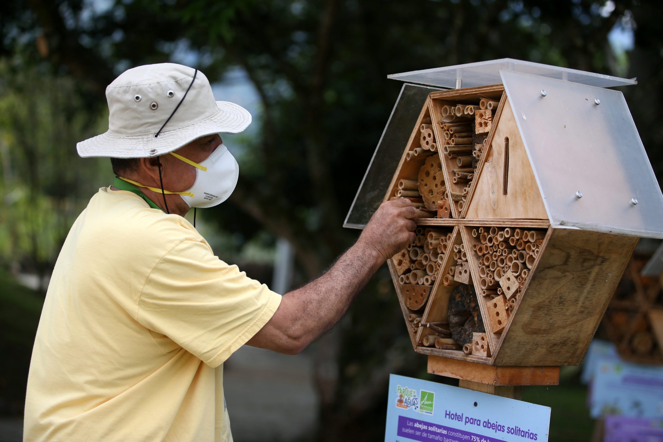 Busy Bees In Colombia Get Respite In Bamboo Hotels Reuters News Agency