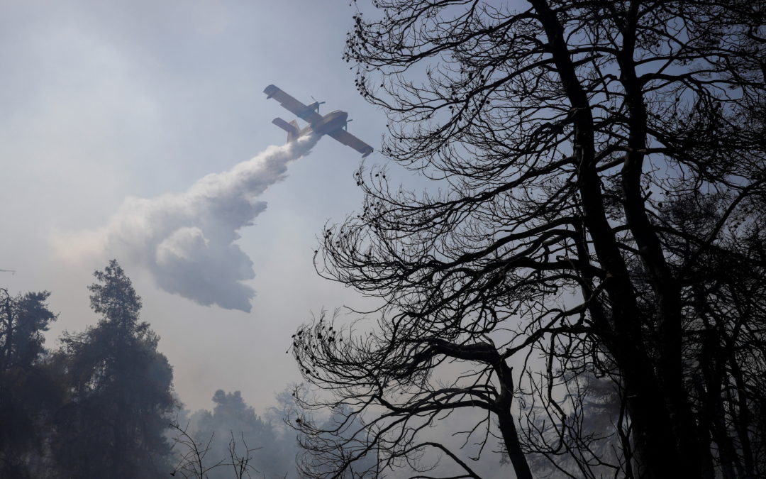 Wildfire erupts in Athens