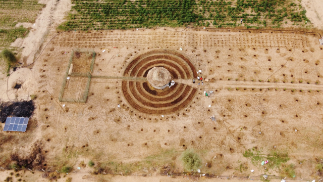 Senegalese plant circular gardens in Green Wall defence against desert