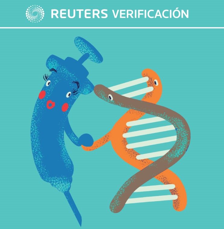 SALUD-CORONAVIRUS-VERIFICACION-GRAFICO