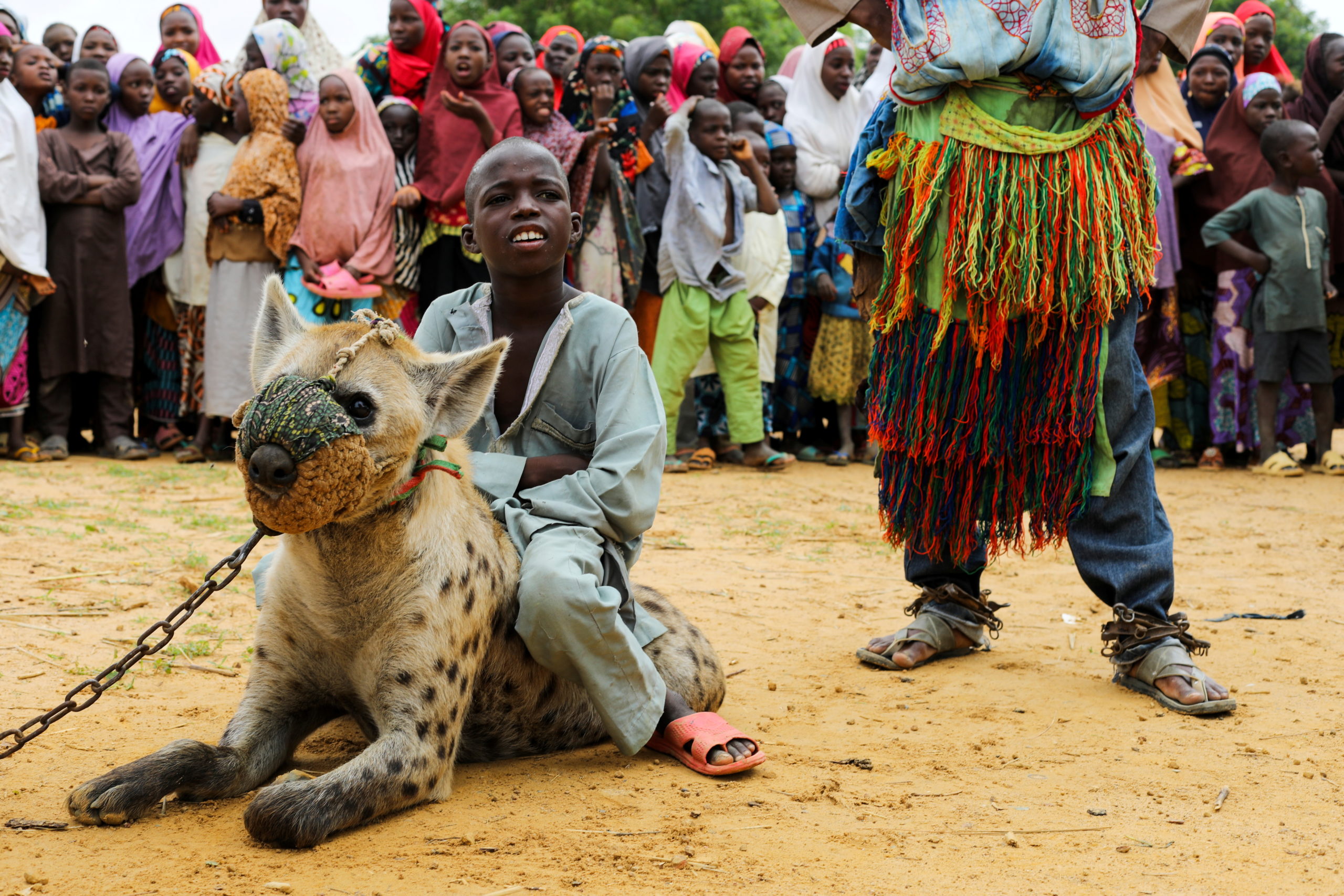 Nigeria s Hyena Men Put Maligned Animals Centre Stage Reuters News Agency