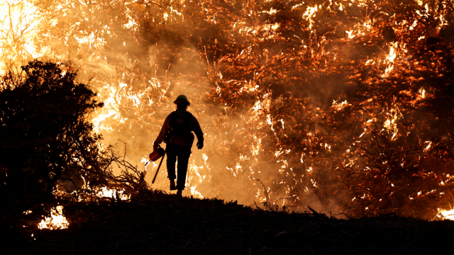 Caldor Fire in Grizzly Flats, California