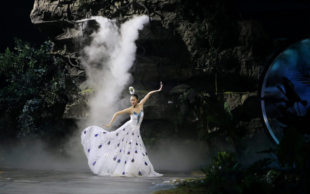 China Fashion Week Spring/Summer 2022 collection show in Beijing