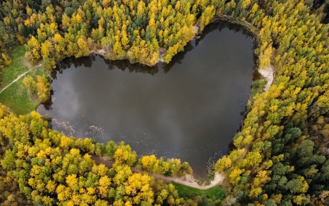 A lake in a shape of a heart is seen surrounded by autumn-coloured trees outside Balashikha