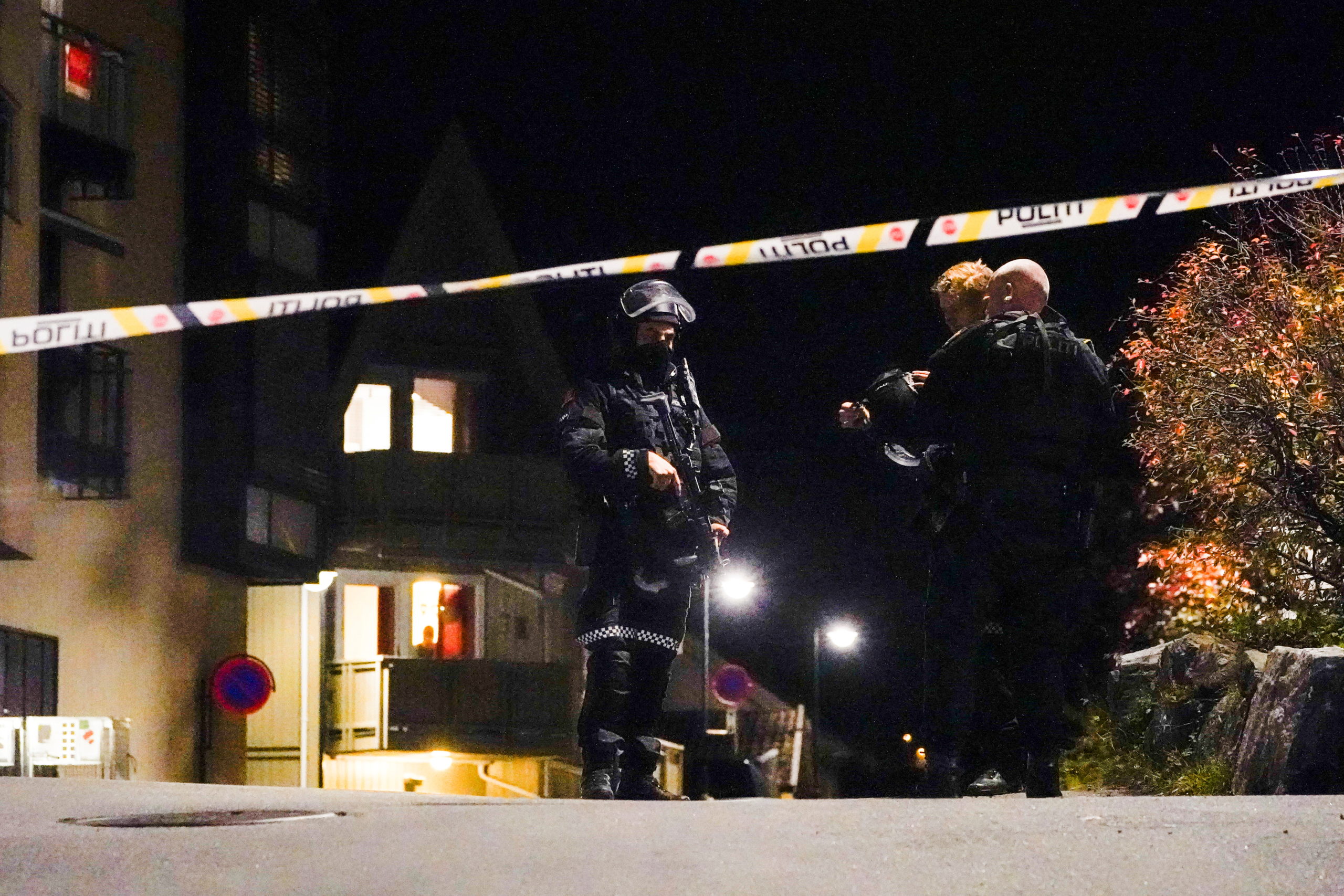 Norway bow-and-arrow attack likely linked to mental illness – police