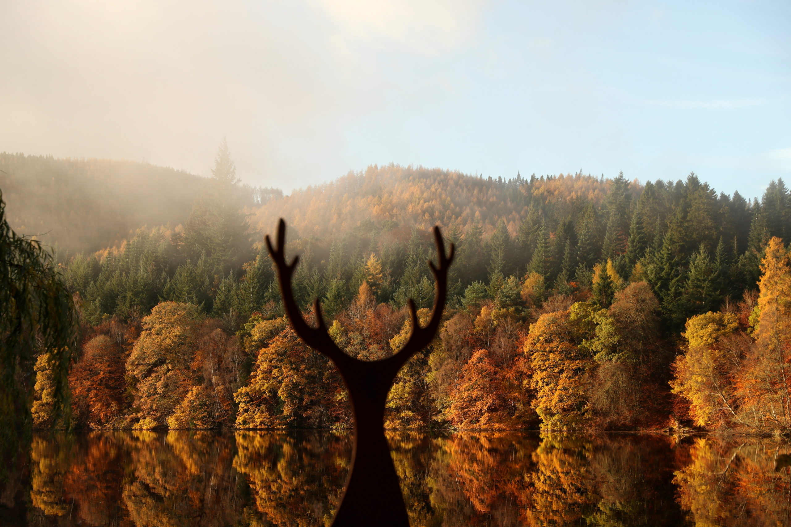 Autumn foliage in Pitlochry, Scotland