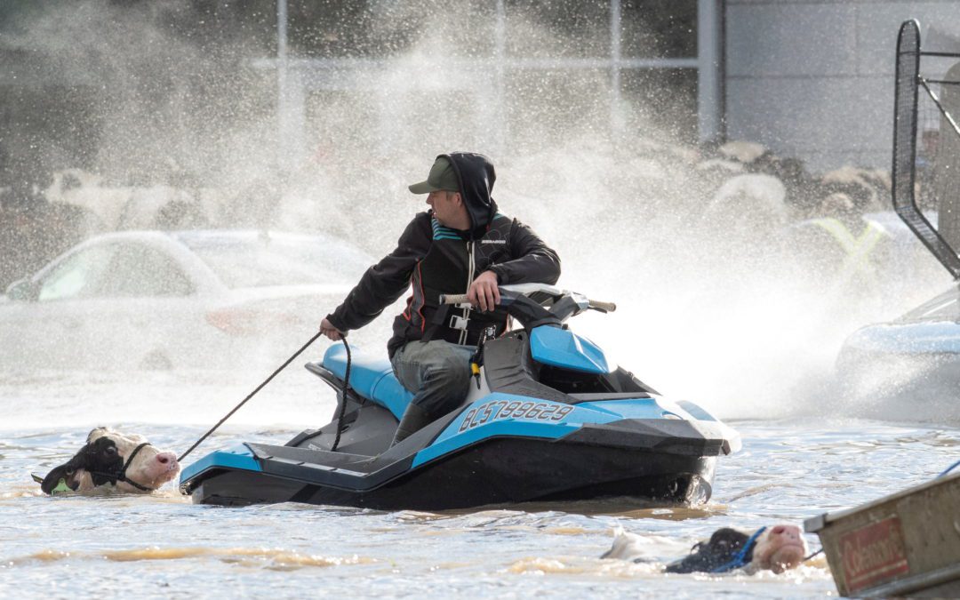 Rainstorms lash the western Canadian province of British Columbia