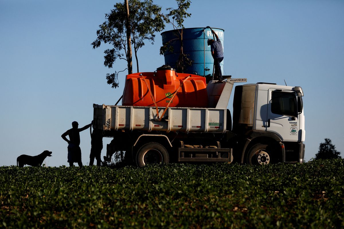 Brazil, Wheat