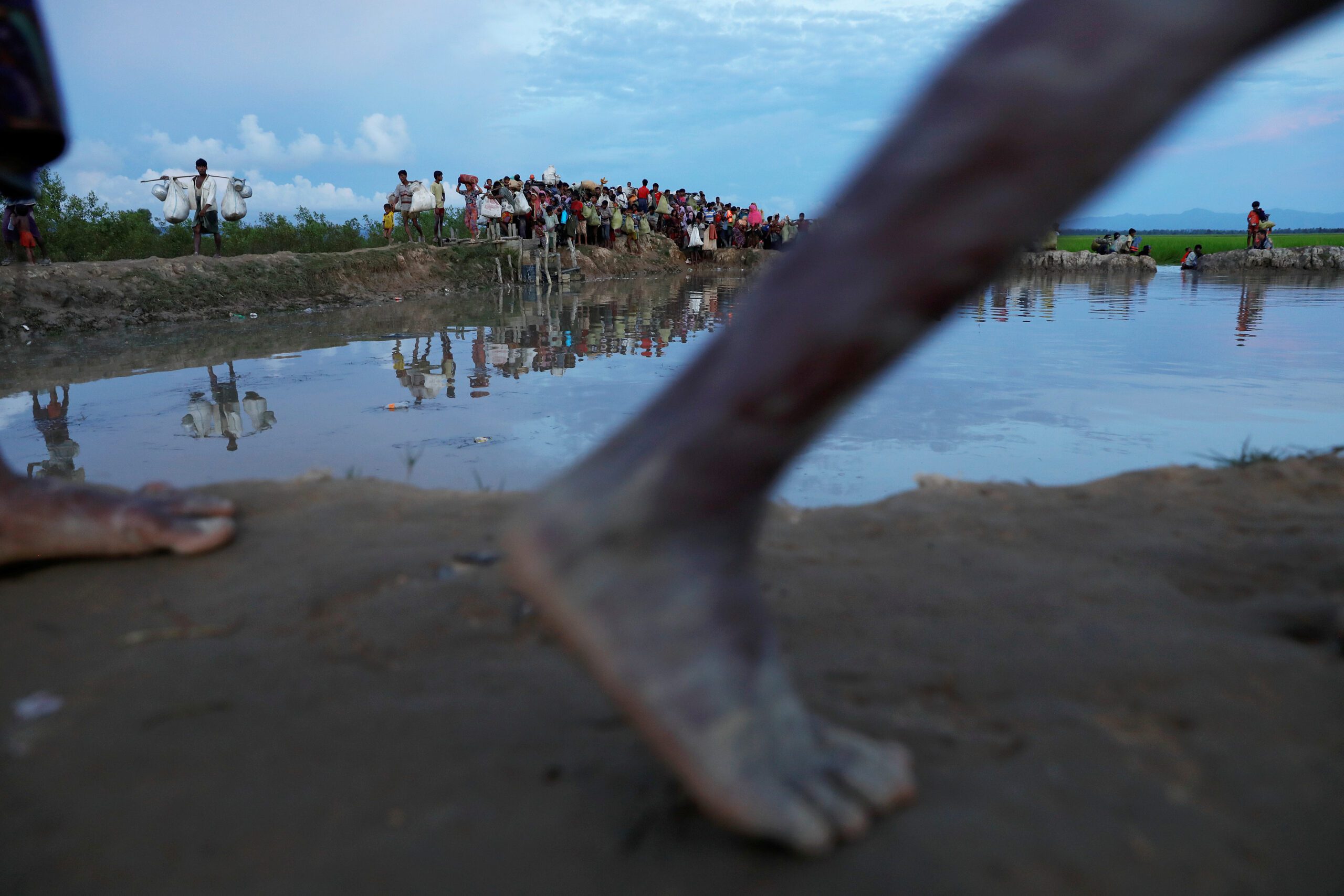 Rohingya refugees who fled from Myanmar make their way through the rice field after crossing the border in Palang Khali, Bangladesh October 9, 2017. REUTERS/Damir Sagolj