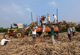 Workspace_8.24.23_india bans sugar