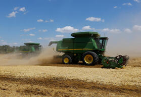 Workspace_8.31.23_ukraine winter wheat