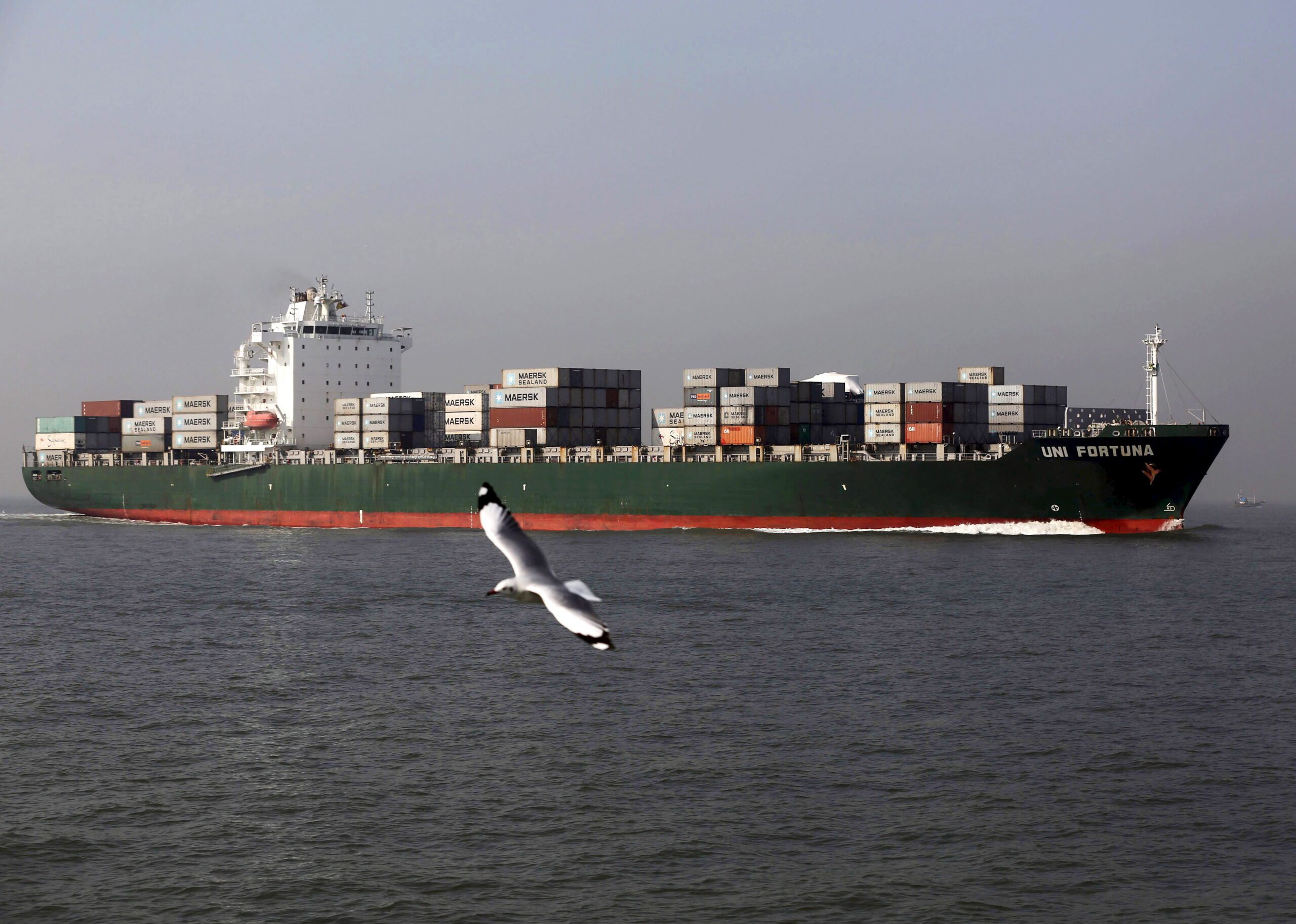 A seagull flies past a cargo container ship off the coast of Mumbai, India, December 3, 2015. REUTERS/Shailesh Andrade