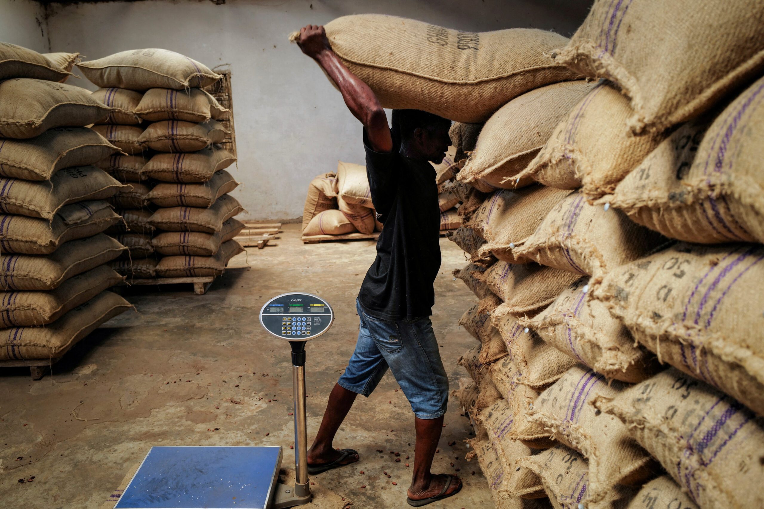 FILE PHOTO: A worker transports a bag of sun-dried cocoa beans at a warehouse in Kwabeng in the Eastern Region, Ghana, February 28, 2024.       REUTERS/Francis Kokoroko/File Photo