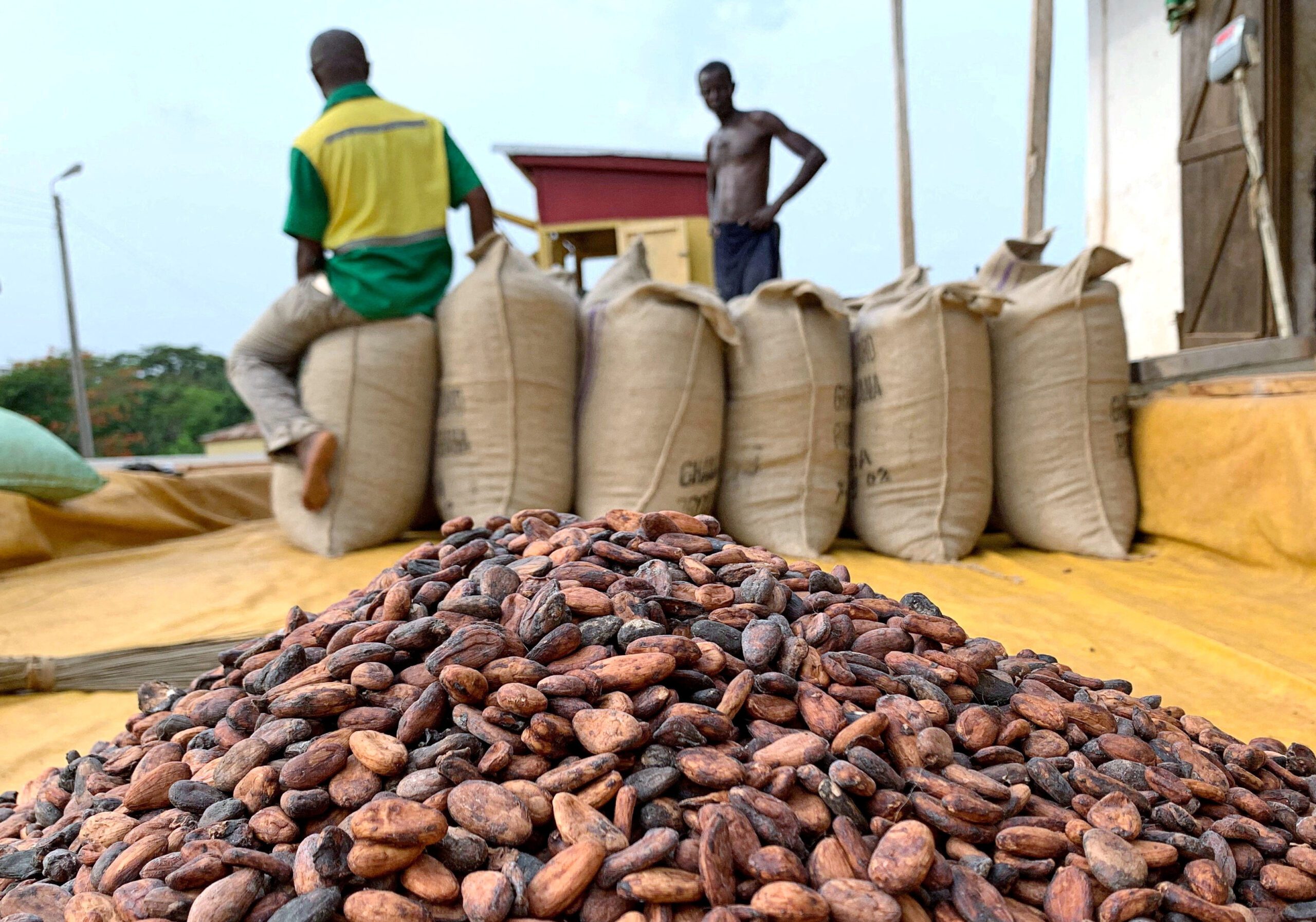 FILE PHOTO: Cocoa beans are pictured next to a warehouse at the village of Atroni, near Sunyani, Ghana April 11, 2019. REUTERS/Ange Aboa//File Photo