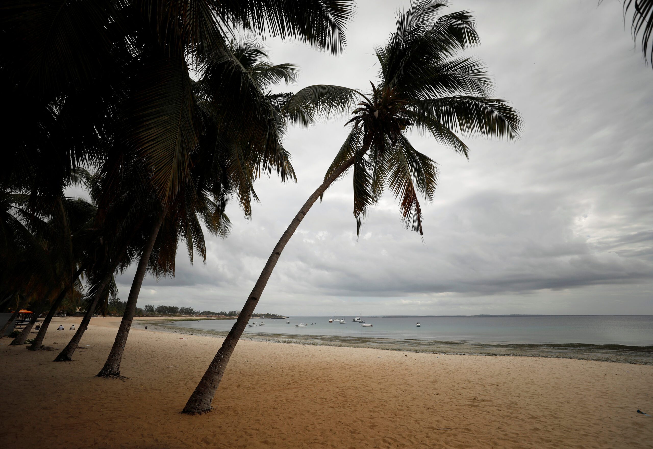 Palms are seen on an empty tourist beach in Pemba, Mozambique, July 13, 2018. Picture taken July 13, 2018. REUTERS/Mike Hutchings